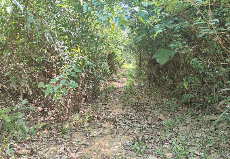 Tanah Pertanian Kampung Semin Linggi N9 untuk Dijual