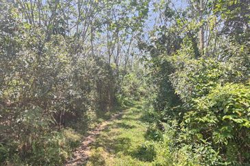 Tanah Pertanian Kampung Semin Linggi N9 untuk Dijual