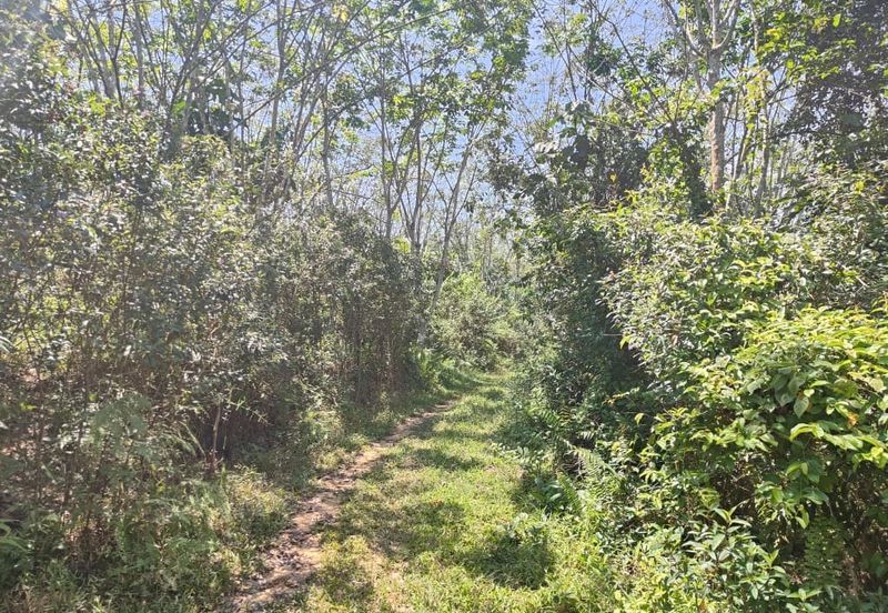 Tanah Pertanian Kampung Semin Linggi N9 untuk Dijual