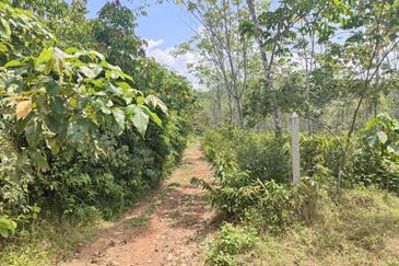 Tanah Pertanian Kampung Semin Linggi N9 untuk Dijual