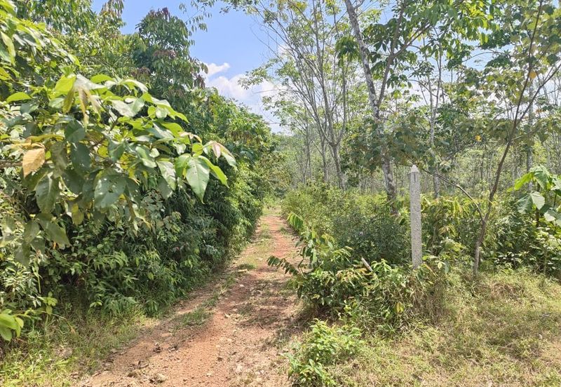 Tanah Pertanian Kampung Semin Linggi N9 untuk Dijual