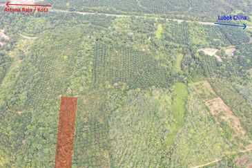 Tanah Pertanian Kampung Semin Linggi N9 untuk Dijual