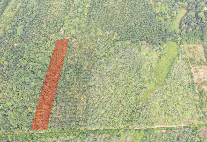 Tanah Pertanian Kampung Semin Linggi N9 untuk Dijual