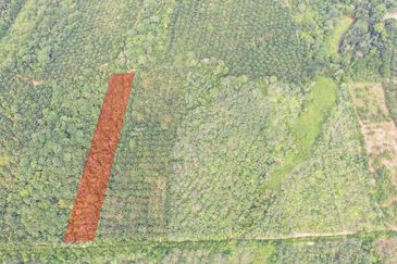 Tanah Pertanian Kampung Semin Linggi N9 untuk Dijual