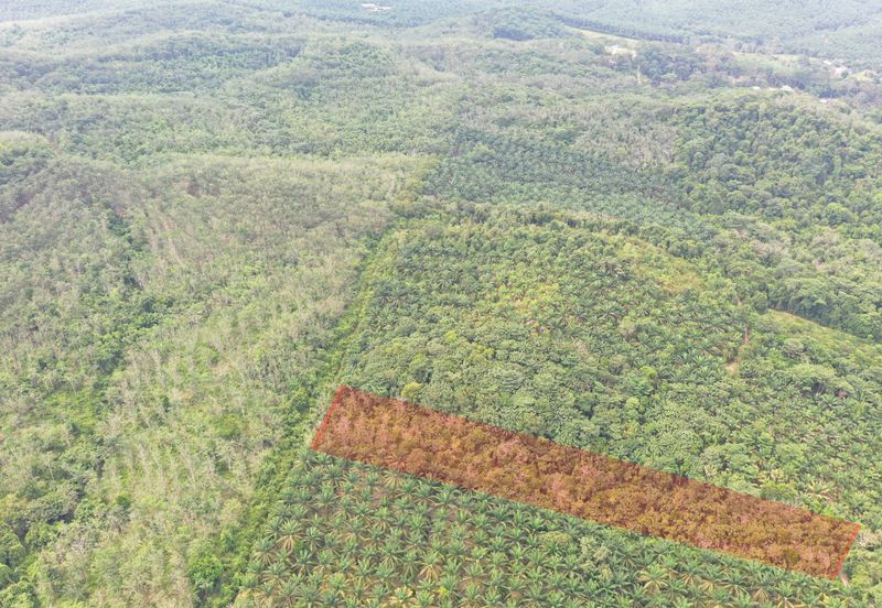 Tanah Pertanian Kampung Semin Linggi N9 untuk Dijual