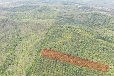 Tanah Pertanian Kampung Semin Linggi N9 untuk Dijual