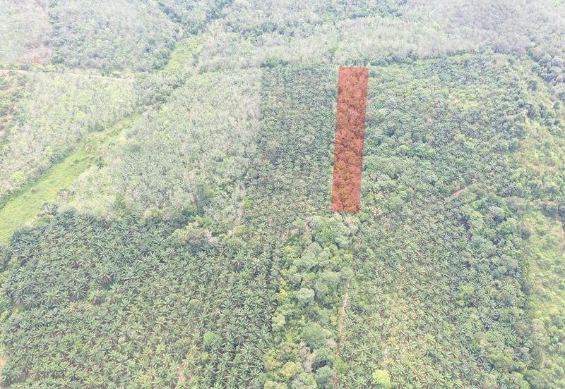 Tanah Pertanian Kampung Semin Linggi N9 untuk Dijual