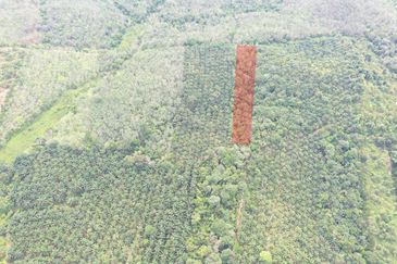 Tanah Pertanian Kampung Semin Linggi N9 untuk Dijual