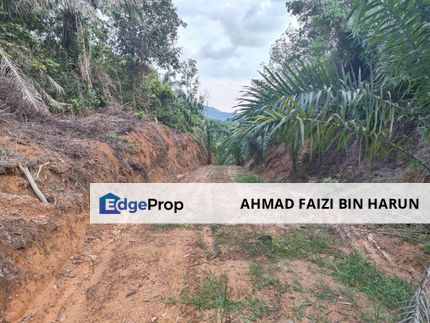 SEREMBAN FREEHOLD NON BUMI AGRICULTURAL LAND FOR SALE, Negeri Sembilan, Senawang