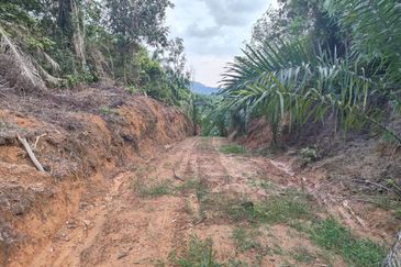 SEREMBAN FREEHOLD NON BUMI AGRICULTURAL LAND FOR SALE