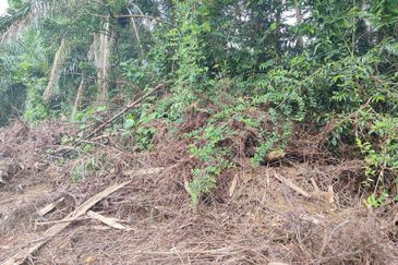 SEREMBAN FREEHOLD NON BUMI AGRICULTURAL LAND FOR SALE