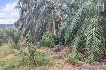 SEREMBAN FREEHOLD NON BUMI AGRICULTURAL LAND FOR SALE