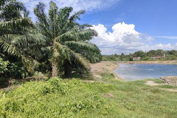 RUMAH KAMPUNG & TANAH LUAS DI PASIR PANJANG PD UNTUK DJUAL