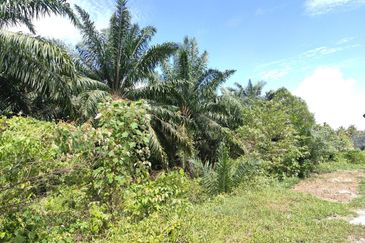 RUMAH KAMPUNG & TANAH LUAS DI PASIR PANJANG PD UNTUK DJUAL