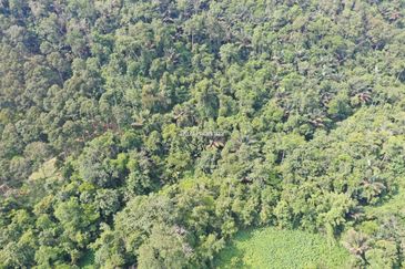 Tanah Pertanian Peradong Jelebu N9 untuk Dijual {Tanah Berbukit}