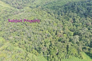 Tanah Pertanian Peradong Jelebu N9 untuk Dijual {Tanah Berbukit}