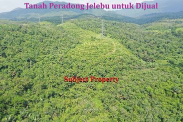 Tanah Pertanian Peradong Jelebu N9 untuk Dijual {Tanah Berbukit}