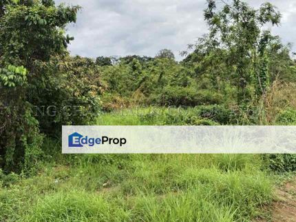 Land, Kelantan, Machang