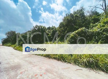 Agricultural Land, Johor, 