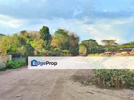 Vacant Land, Kedah, Pokok Sena