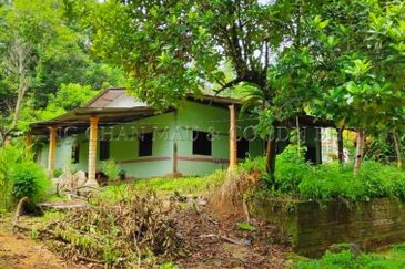 1 Storey Detached House