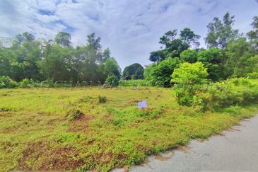 Vacant Plot of Detached Housing Lot