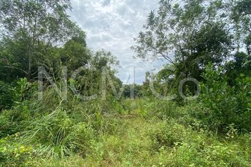 Vacant Detached Plot