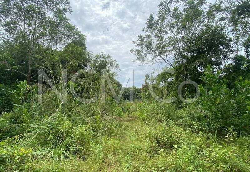 Vacant Detached Plot