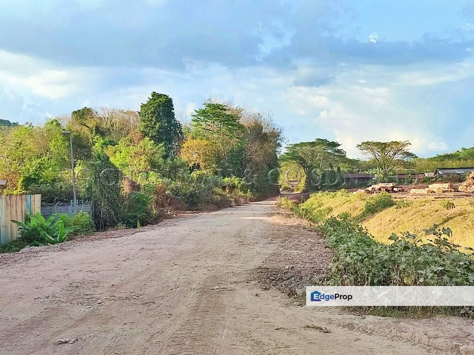 Vacant Land, Kedah, Pokok Sena