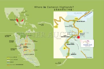 [High Floor] The Retreat Arandanova [Surrounded by lush landscapes & tea valleys]