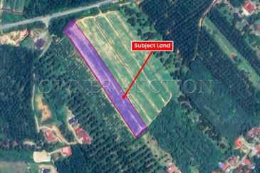 [Flat & Usable Land; Ready for Various Potential Uses] Land [Close to Jasin and Bukit Katil, Melaka]