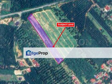 [Flat & Usable Land; Ready for Various Potential Uses] Land [Close to Jasin and Bukit Katil, Melaka], Melaka, Jasin