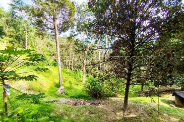 [Income-Generating Land Near KL City Centre] Land [Ready Infrastructure with Direct TNB Power and Road Access]