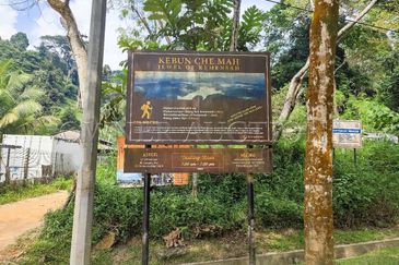 [Income-Generating Land Near KL City Centre] Land [Ready Infrastructure with Direct TNB Power and Road Access]