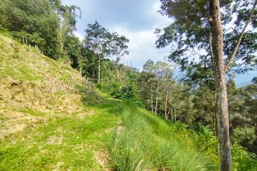 [Income-Generating Land Near KL City Centre] Land [Ready Infrastructure with Direct TNB Power and Road Access]