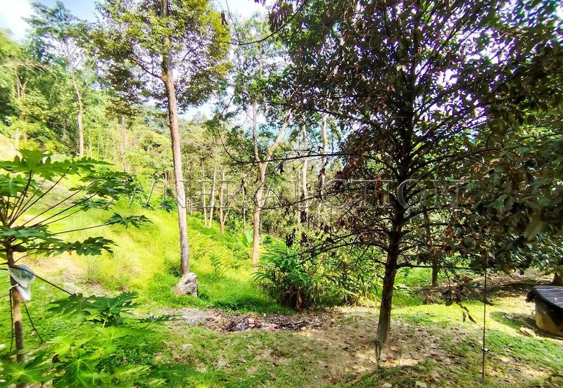 [Income-Generating Land Near KL City Centre] Land [Ready Infrastructure with Direct TNB Power and Road Access]