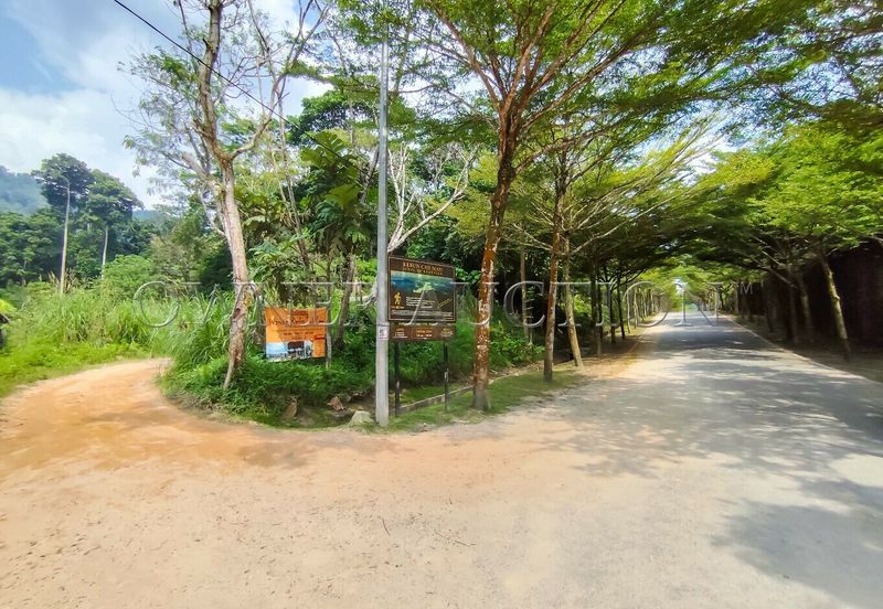 [Income-Generating Land Near KL City Centre] Land [Ready Infrastructure with Direct TNB Power and Road Access]