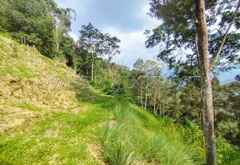 [Income-Generating Land Near KL City Centre] Land [Ready Infrastructure with Direct TNB Power and Road Access]