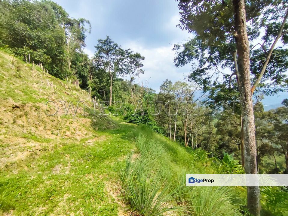 [Income-Generating Land Near KL City Centre] Land [Ready Infrastructure with Direct TNB Power and Road Access], Selangor, Gombak