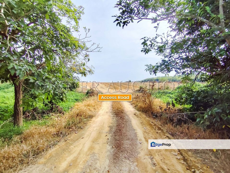 [Vacant, flat & ready for various potential uses] Land [Close to Jasin and Bukit Katil, Melaka], Melaka, Jasin