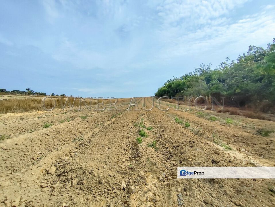 [Vacant, flat & ready for various potential uses] Land [Close to Jasin and Bukit Katil, Melaka], Melaka, Jasin