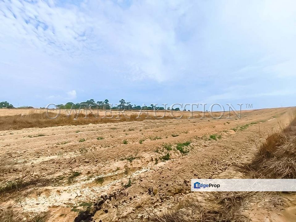 [Vacant, flat & ready for various potential uses] Land [Close to Jasin and Bukit Katil, Melaka], Melaka, Jasin