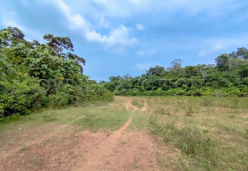 [Direct Road Access; Utilities Nearby] Freehold Land [5 min to Bukit Katil; 15 min to Ayer Keroh Toll]