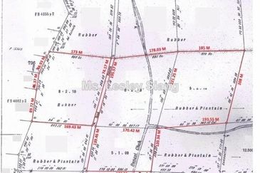 Land for Sale  (RM20 psf) at Nusajaya @ Iskanda Putri