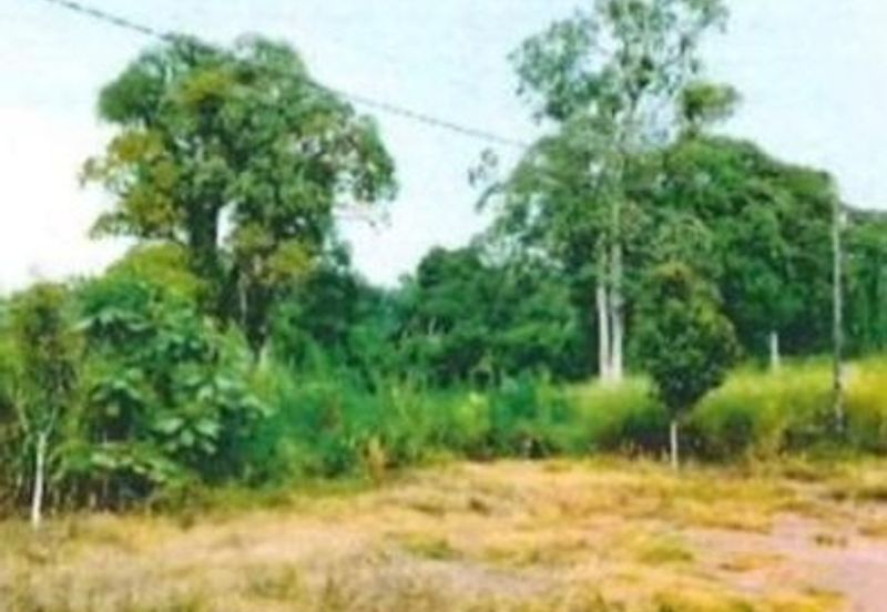 Muar Industry Land @ Jalan Muar