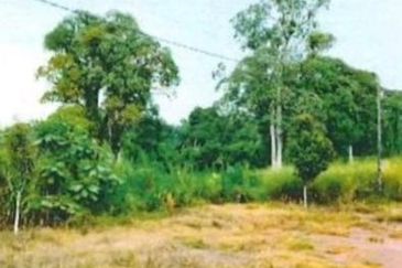 Muar Industry Land @ Jalan Muar