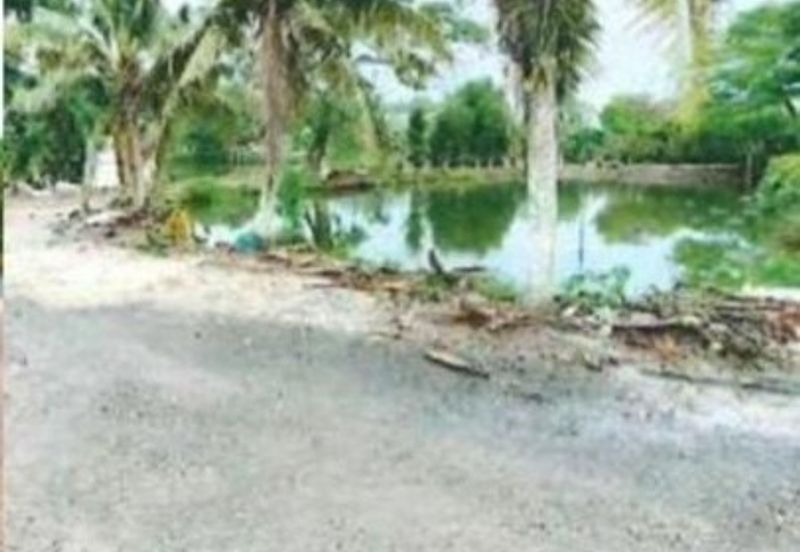 Muar Industry Land @ Jalan Muar