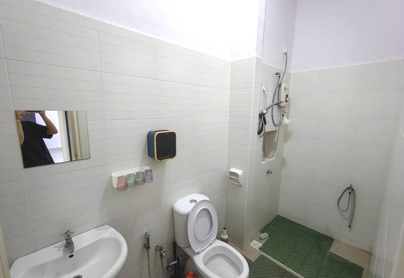 Maple Red, Adda Heights