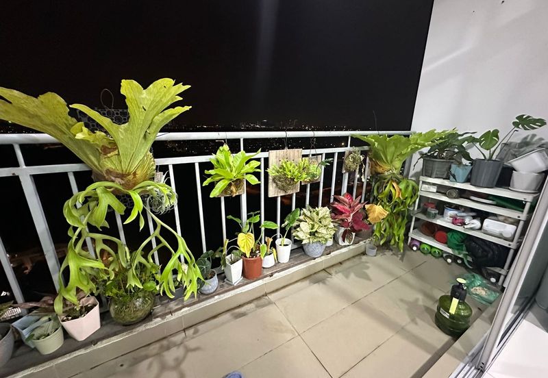 D'Lagoon, Taman Seri Austin