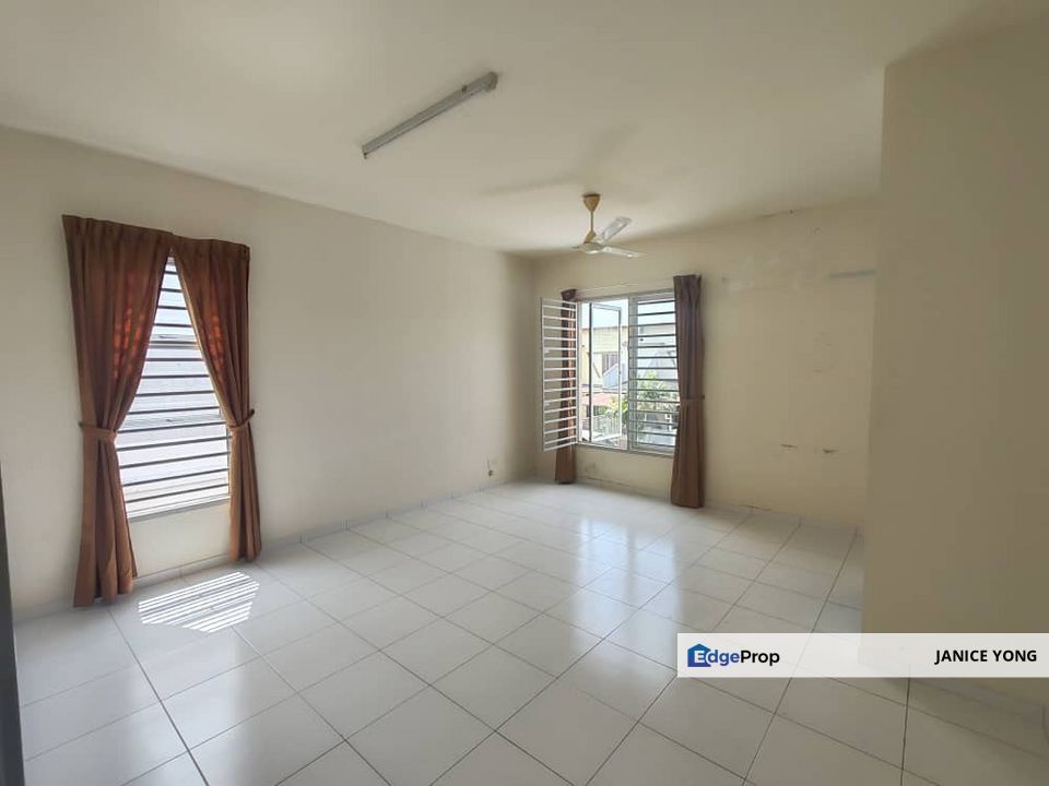 Dictyo Alba @ Setia Tropika, Johor, Setia Tropika